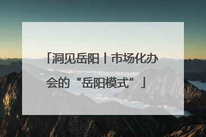 洞见岳阳丨市场化办会的“岳阳模式”