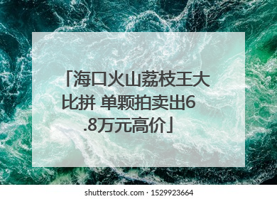 海口火山荔枝王大比拼 单颗拍卖出6.8万元高价
