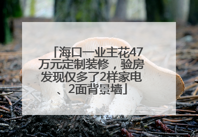 海口一业主花47万元定制装修，验房发现仅多了2样家电、2面背景墙