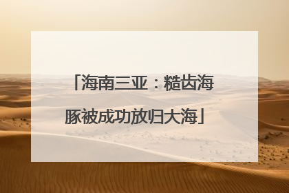 海南三亚：糙齿海豚被成功放归大海