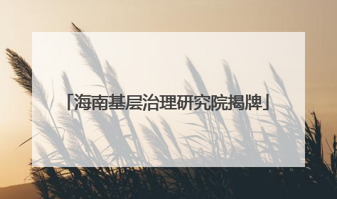 海南基层治理研究院揭牌