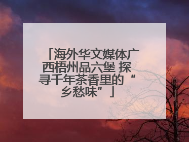 海外华文媒体广西梧州品六堡 探寻千年茶香里的“乡愁味”