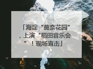 海淀“莫奈花园”，上演“稻田音乐会”！现场直击