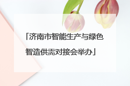 济南市智能生产与绿色智造供需对接会举办