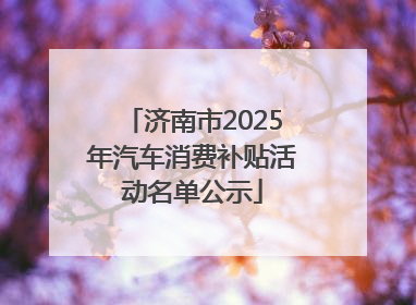 济南市2025年汽车消费补贴活动名单公示