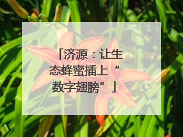 济源：让生态蜂蜜插上“数字翅膀”