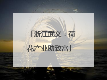 浙江武义：荷花产业助致富