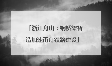 浙江舟山：钢桥梁智造加速甬舟铁路建设