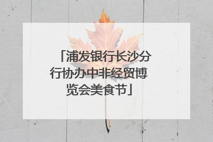 浦发银行长沙分行协办中非经贸博览会美食节
