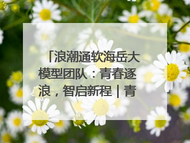 浪潮通软海岳大模型团队：青春逐浪，智启新程｜青春思政课
