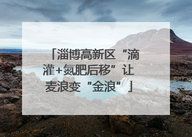 淄博高新区“滴灌+氮肥后移”让麦浪变“金浪”