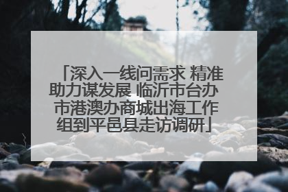 深入一线问需求 精准助力谋发展 临沂市台办 市港澳办商城出海工作组到平邑县走访调研
