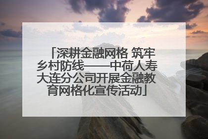 深耕金融网格 筑牢乡村防线——中荷人寿大连分公司开展金融教育网格化宣传活动