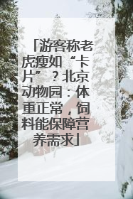 游客称老虎瘦如“卡片”？北京动物园：体重正常，饲料能保障营养需求