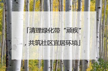 清理绿化带“顽疾”，共筑社区宜居环境