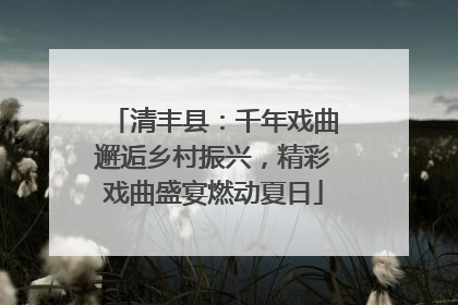 清丰县：千年戏曲邂逅乡村振兴，精彩戏曲盛宴燃动夏日