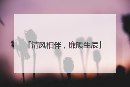 清风相伴，廉暖生辰