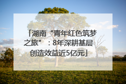 湖南“青年红色筑梦之旅”：8年深耕基层创造效益近5亿元