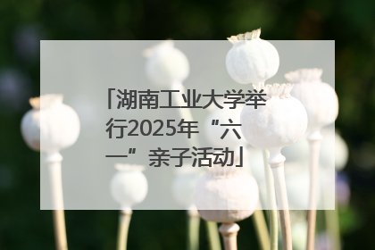 湖南工业大学举行2025年“六一”亲子活动