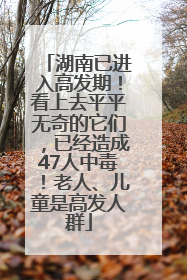湖南已进入高发期！看上去平平无奇的它们，已经造成47人中毒！老人、儿童是高发人群