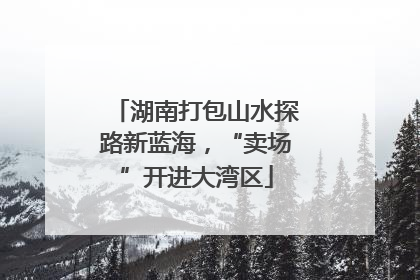 湖南打包山水探路新蓝海，“卖场”开进大湾区