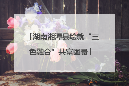 湖南湘潭县绘就“三色融合”共富图景