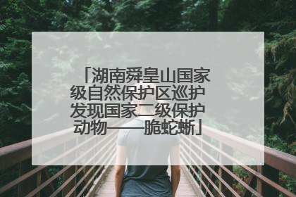 湖南舜皇山国家级自然保护区巡护发现国家二级保护动物——脆蛇蜥