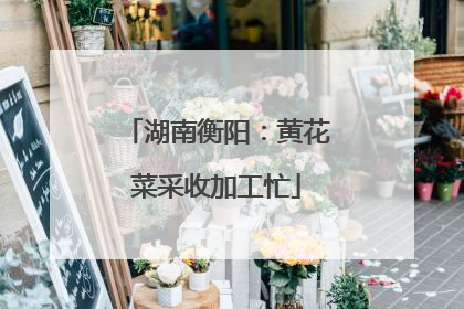 湖南衡阳：黄花菜采收加工忙