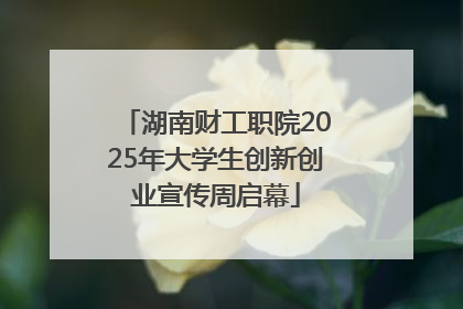 湖南财工职院2025年大学生创新创业宣传周启幕