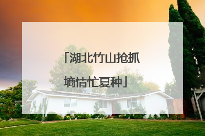 湖北竹山抢抓墒情忙夏种