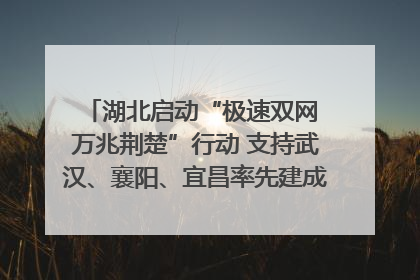 湖北启动“极速双网 万兆荆楚”行动 支持武汉、襄阳、宜昌率先建成“万兆先锋城市”