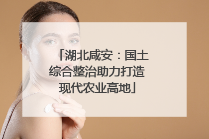 湖北咸安：国土综合整治助力打造现代农业高地
