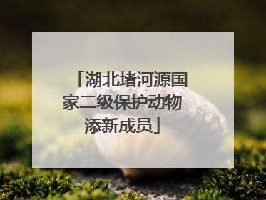 湖北堵河源国家二级保护动物添新成员