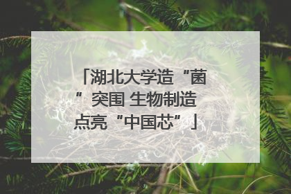 湖北大学造“菌”突围 生物制造点亮“中国芯”