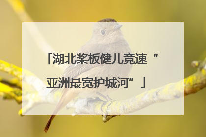 湖北桨板健儿竞速“亚洲最宽护城河”