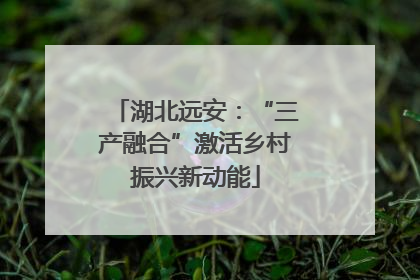 湖北远安：“三产融合”激活乡村振兴新动能