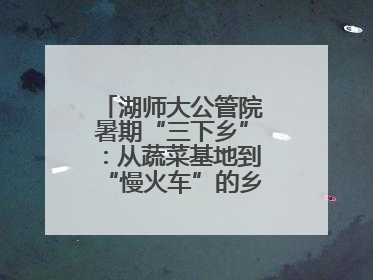湖师大公管院暑期“三下乡”：从蔬菜基地到“慢火车”的乡村振兴实践