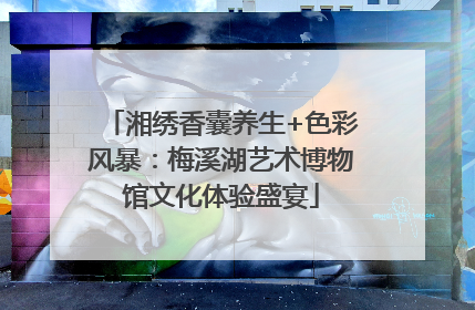 湘绣香囊养生+色彩风暴：梅溪湖艺术博物馆文化体验盛宴