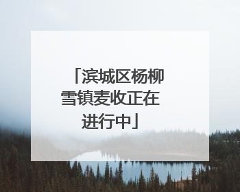滨城区杨柳雪镇麦收正在进行中