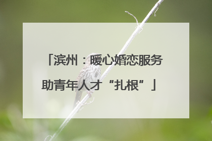 滨州：暖心婚恋服务助青年人才“扎根”