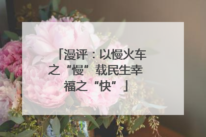 漫评：以慢火车之“慢”载民生幸福之“快”