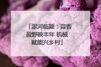 漯河临颍：蒜香盈野映丰年 机械赋能兴乡村