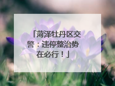 菏泽牡丹区交警：违停整治势在必行！