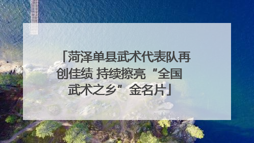 菏泽单县武术代表队再创佳绩 持续擦亮“全国武术之乡”金名片