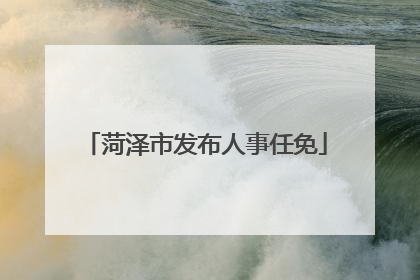 菏泽市发布人事任免