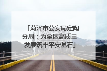 菏泽市公安局定陶分局：为全区高质量发展筑牢平安基石