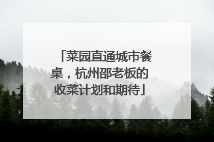 菜园直通城市餐桌，杭州邵老板的收菜计划和期待