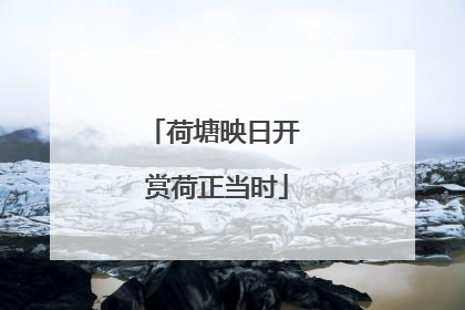荷塘映日开 赏荷正当时
