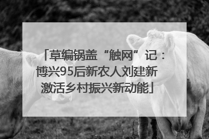 草编锅盖“触网”记：博兴95后新农人刘建新激活乡村振兴新动能