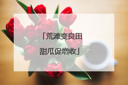 荒滩变良田 甜瓜促增收